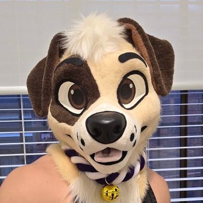gasherbrumone's profile picture
