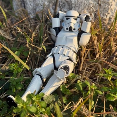 Spicy_Psy_Duck's profile picture