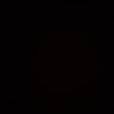 siyasibee's profile picture