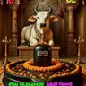 Dharmalingam Venkatachalam's profile picture