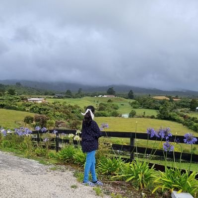 kabaniRiver's profile picture