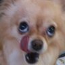 Profilbild von Ohiku