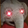 Kadota's profile picture