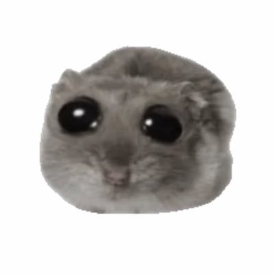 데덴네's profile picture