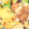 Profilbild von 来桜｡❀
