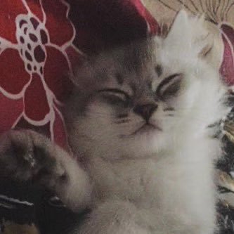 mimi002530's profile picture