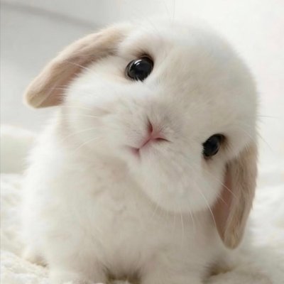 Mizhou's profile picture