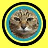 suzu_tasoãããã... profil fotoÄrafı