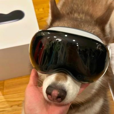 Web3 天真(守身如玉)'s profile picture