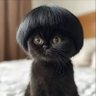 خراپ پوم's profile picture