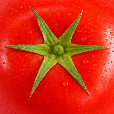 𝓐 licia.'s profile picture