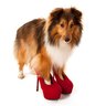 Фото профиля 🐕🦺лё порн👠