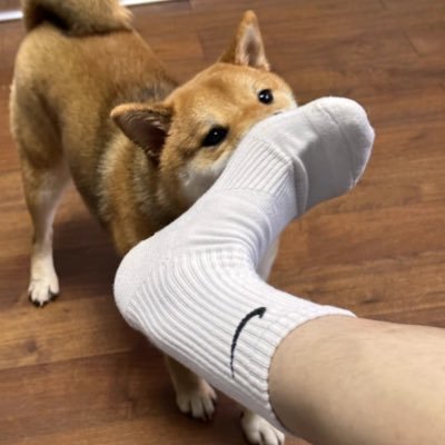 yrmb01's profile picture