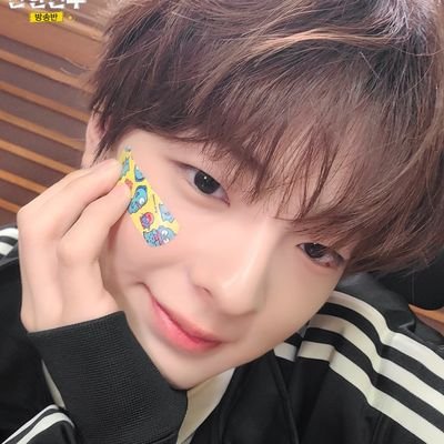 Sil🐾🦊's profile picture