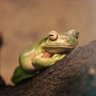 二意斗 profil fotoğrafı