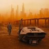 🏴‍☠️ Blade Runner ✈️🚂🪂🇨🇦🇺🇸🇷🇺🇲🇽🍺 🌴 profil fotoğrafı