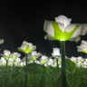 Фото профиля MLondon