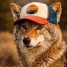 Фото профиля Coyote Smugly