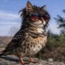zikynada7777's profile picture