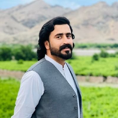 mardanmandokhel's profile picture