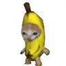 Profilbild von wtrypto 🍌 🐱
