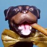 Profilbild von Bob De Resistance