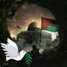 Shaimaa Muhammad's profile picture