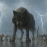 Fenrir_NFT profil fotoğrafı