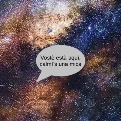joanignasielena's profile picture