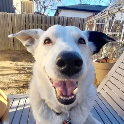 VLDMR's profile picture