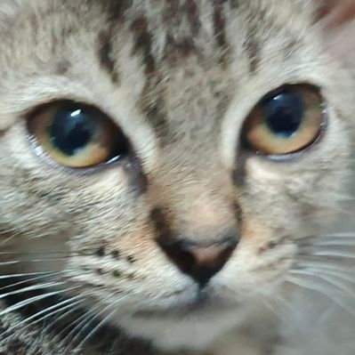 tamaxXx 's profile picture