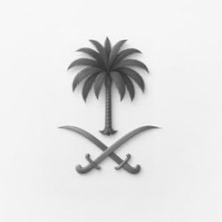 wafastudy's profile picture