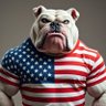 BigDog profil fotoğrafı