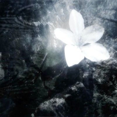 intent1x's profile picture