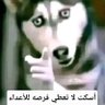 Profilbild von عبدالله الشيخ