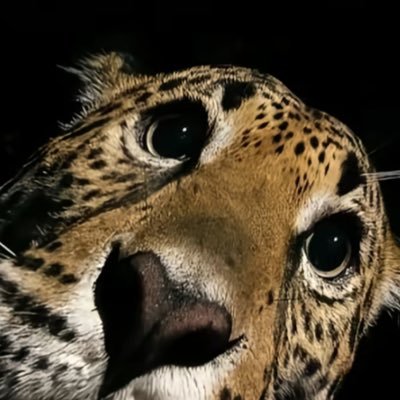 kmila________'s profile picture