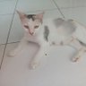 klop profil fotoğrafı