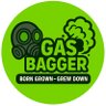 Gasbagger 的头像