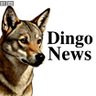 Фото профиля Dingo.News