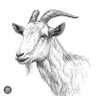 Фото профиля DIEL🐐