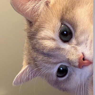 namdaenggg_'s profile picture