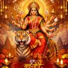 Tripti🇮🇳 的头像
