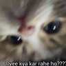 paras's profile picture
