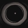 SoftwareSilver's profile picture