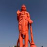 Devender Balhara's profile picture