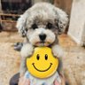 ãªã«ããïŒãªã«ã«ã³äžæïŒ's profile picture