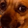 DEeDeE's profile picture