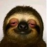 FN's profile picture