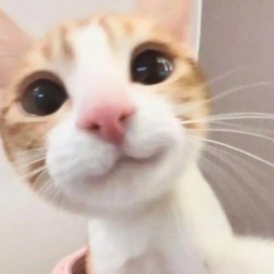 小ki发骚专用号's profile picture