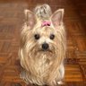 Miss Takes's profile picture